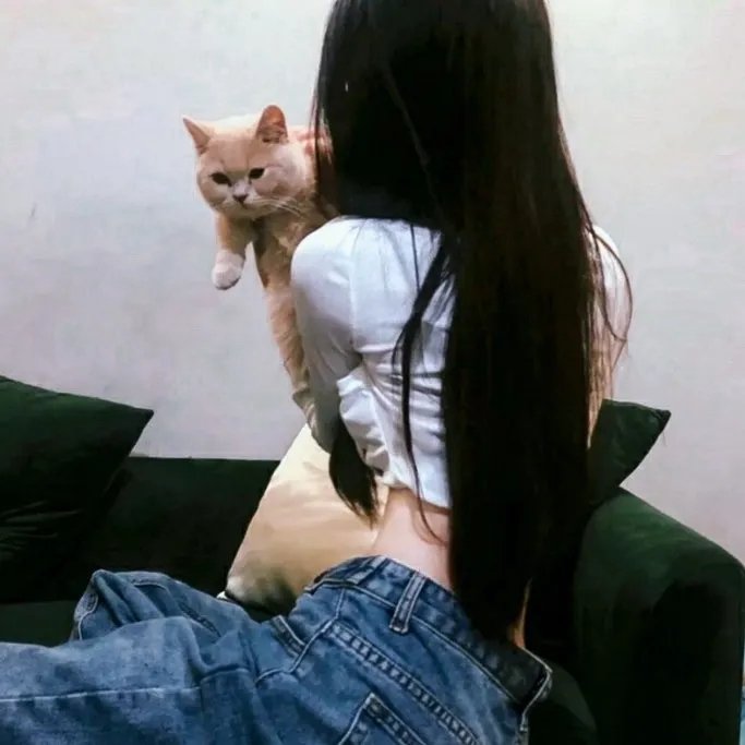 美洛耶塔的闪亮音乐会